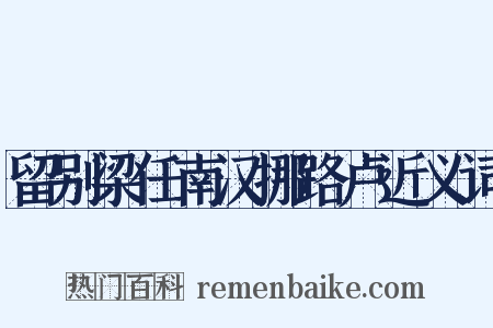 留别梁任南汉挪路卢近义词是什么意思的图片